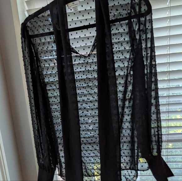 Altuzarra Swiss Dot Sheer Tie-Neck Flowy Elegant Timeless Black Sheer Blouse - Picture 12 of 13